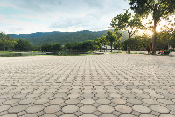 Best Residential Driveway Paver Services  in Rosemont, CA
