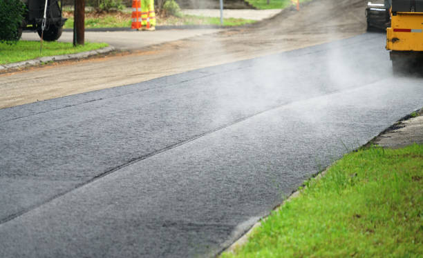 Best Custom Driveway Pavers  in Rosemont, CA